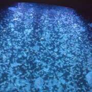 ヒメ日記 2025/06/25 14:44 投稿 あい 美熟女倶楽部Hip's 春日部店