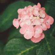 ヒメ日記 2025/06/29 07:04 投稿 あい 美熟女倶楽部Hip's 春日部店