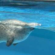 ヒメ日記 2025/07/04 08:54 投稿 あい 美熟女倶楽部Hip's 春日部店