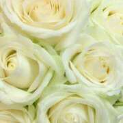 ヒメ日記 2025/07/08 09:23 投稿 あい 美熟女倶楽部Hip's 春日部店