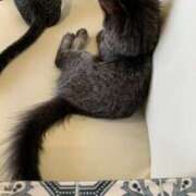 ヒメ日記 2025/07/12 14:44 投稿 あい 美熟女倶楽部Hip's 春日部店