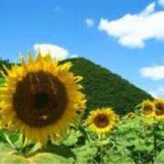 ヒメ日記 2025/07/13 17:47 投稿 あい 美熟女倶楽部Hip's 春日部店