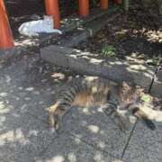 ヒメ日記 2025/07/18 14:35 投稿 あい 美熟女倶楽部Hip's 春日部店