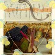 ヒメ日記 2025/07/24 19:12 投稿 あい 美熟女倶楽部Hip's 春日部店