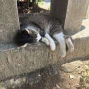 ヒメ日記 2025/07/26 10:25 投稿 あい 美熟女倶楽部Hip's 春日部店