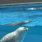 ヒメ日記 2025/08/01 08:44 投稿 あい 美熟女倶楽部Hip's 春日部店