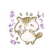 ヒメ日記 2025/08/13 21:35 投稿 あい 美熟女倶楽部Hip's 春日部店