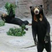 ヒメ日記 2025/08/14 07:34 投稿 あい 美熟女倶楽部Hip's 春日部店