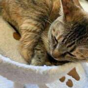 ヒメ日記 2025/08/16 00:04 投稿 あい 美熟女倶楽部Hip's 春日部店