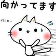 ヒメ日記 2025/08/25 18:04 投稿 あい 美熟女倶楽部Hip's 春日部店