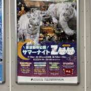 ヒメ日記 2025/08/26 09:45 投稿 あい 美熟女倶楽部Hip's 春日部店