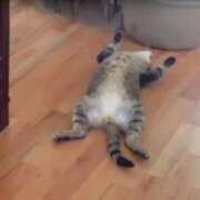 ヒメ日記 2025/09/26 22:54 投稿 あい 美熟女倶楽部Hip's 春日部店