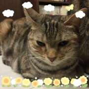 ヒメ日記 2025/10/16 23:42 投稿 あい 美熟女倶楽部Hip's 春日部店