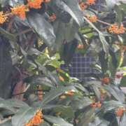 ヒメ日記 2025/10/29 14:33 投稿 あい 美熟女倶楽部Hip's 春日部店