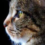 ヒメ日記 2025/11/04 10:13 投稿 あい 美熟女倶楽部Hip's 春日部店