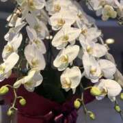 ヒメ日記 2026/01/02 12:22 投稿 あい 美熟女倶楽部Hip's 春日部店