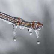 ヒメ日記 2026/01/05 07:02 投稿 あい 美熟女倶楽部Hip's 春日部店