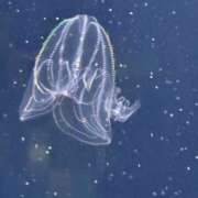 ヒメ日記 2026/01/25 13:02 投稿 あい 美熟女倶楽部Hip's 春日部店