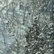 ヒメ日記 2026/01/28 07:02 投稿 あい 美熟女倶楽部Hip's 春日部店