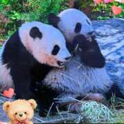 ヒメ日記 2026/02/20 11:36 投稿 あい 美熟女倶楽部Hip's 春日部店