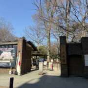 ヒメ日記 2026/03/11 12:32 投稿 あい 美熟女倶楽部Hip's 春日部店