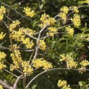 ヒメ日記 2026/03/11 12:45 投稿 あい 美熟女倶楽部Hip's 春日部店