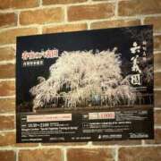 ヒメ日記 2026/03/12 09:42 投稿 あい 美熟女倶楽部Hip's 春日部店