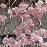 ヒメ日記 2026/04/01 15:08 投稿 あい 美熟女倶楽部Hip's 春日部店