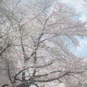 ヒメ日記 2026/04/02 18:32 投稿 あい 美熟女倶楽部Hip's 春日部店