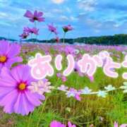 ヒメ日記 2025/11/27 21:02 投稿 新人 ゆずき（Yuzuki） 出張メンズエステ RELAX【DIVAグループ】