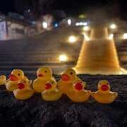 美波 🐥⸒⸒♡ VIP