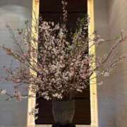 美波 最近のお出かけ話♡ VIP