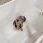 ヒメ日記 2025/07/17 16:59 投稿 ここみ マリアージュ大宮