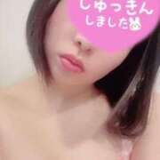 ヒメ日記 2025/04/11 16:01 投稿 のの Welcome Cafe(ウェルカムカフェ) 八王子本店