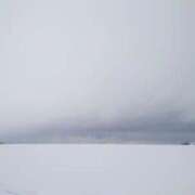 ヒメ日記 2025/02/16 16:11 投稿 けい ケープエンジェル