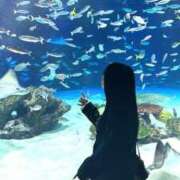 ヒメ日記 2025/03/25 06:06 投稿 ルイ 深海魚