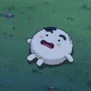 ヒメ日記 2024/12/15 16:27 投稿 ひなた マリン宇都宮店