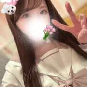 ヒメ日記 2025/03/22 00:16 投稿 ひなた マリン宇都宮店