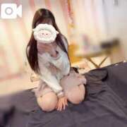 ヒメ日記 2025/06/19 08:36 投稿 ひなた マリン宇都宮店