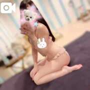 ヒメ日記 2025/10/19 16:06 投稿 ひなた マリン宇都宮店