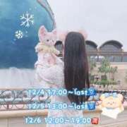 ヒメ日記 2025/12/03 18:26 投稿 ひなた マリン宇都宮店