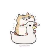 ヒメ日記 2025/04/08 16:30 投稿 江里沙(えりさ) 梅田泡洗体ハイブリッドエステ