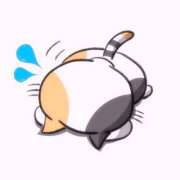 ヒメ日記 2025/01/06 12:56 投稿 しずか ZERO