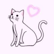 ヒメ日記 2025/01/28 16:49 投稿 しずか ZERO