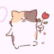 ヒメ日記 2025/03/19 00:06 投稿 しずか ZERO