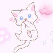 ヒメ日記 2025/03/22 11:10 投稿 しずか ZERO