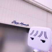 ヒメ日記 2025/04/06 19:43 投稿 しずか ZERO