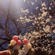 ヒメ日記 2025/04/04 08:32 投稿 りり ○コキクリニック～○○クリニックシリーズ～