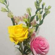 ヒメ日記 2025/09/17 18:01 投稿 りり ○コキクリニック～○○クリニックシリーズ～