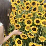 かりん お久しぶりです??? 京都デリヘル女学院